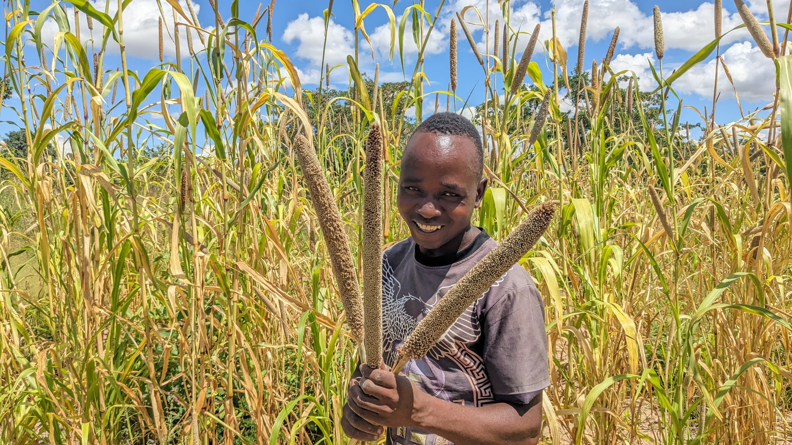 Consumption of Orphan Crops